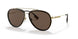 101773 - Gold - Dark Brown