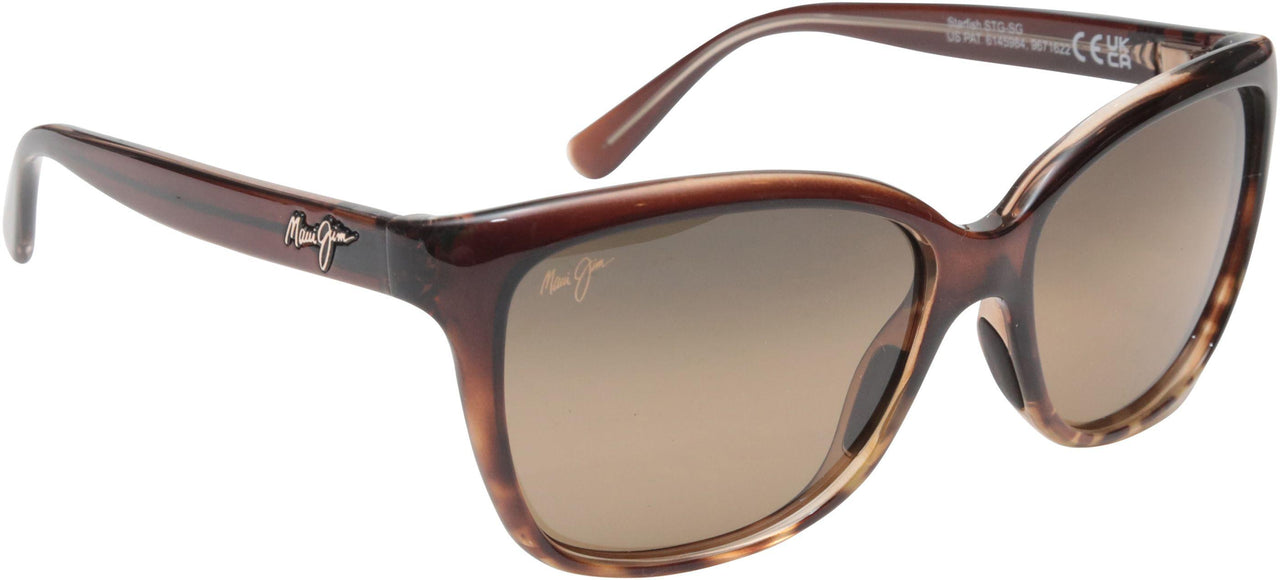 01T - Translucent Chocolate With Tortoise - Hcl Bronze