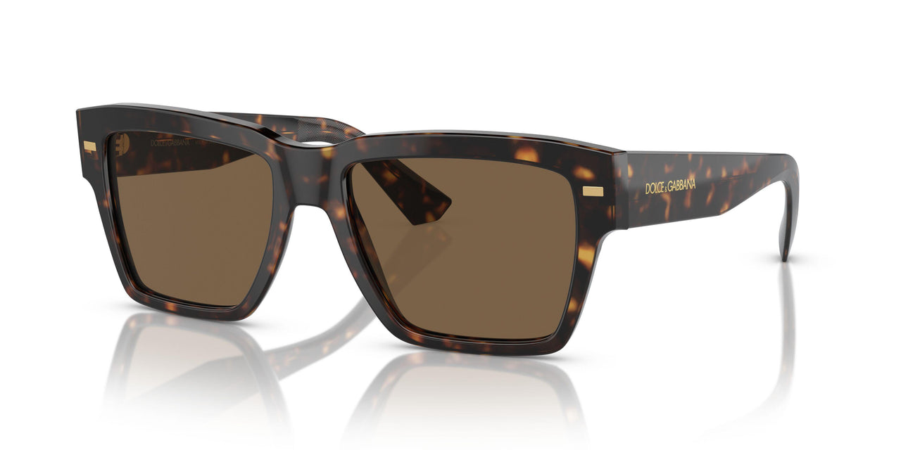 502/73 - Tortoise - Dark Brown