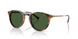 500371 - Red - Dark Green