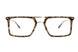 C2 - Tortoise Gold