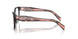 23A1O1 - Tortoise