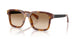 301189 - Tortoise - Light Brown Gradient Brown