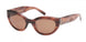 ABERCROMBIE & FITCH 00024 Sunglasses