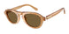 630073 - Tortoise - Dark Brown