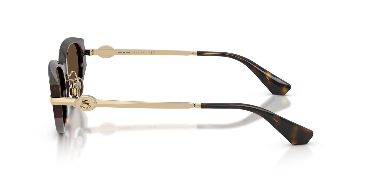 300273 - Brown - Dark Brown