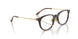 W656 - Brown