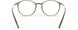 5641 - Restful Olive - ext. nosebridge