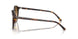 902/51 - Tortoise - Clear Gradient Brown