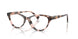 6058 - Tortoise