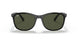 601/31 - Black - Green