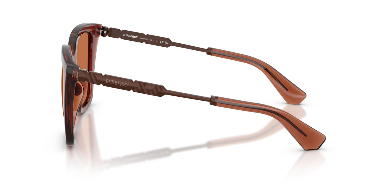 419573 - Brown - Brown