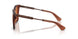 419573 - Brown - Brown