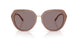 54957N - Brown - Purple Solid