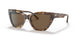 502573 - Havana - Brown