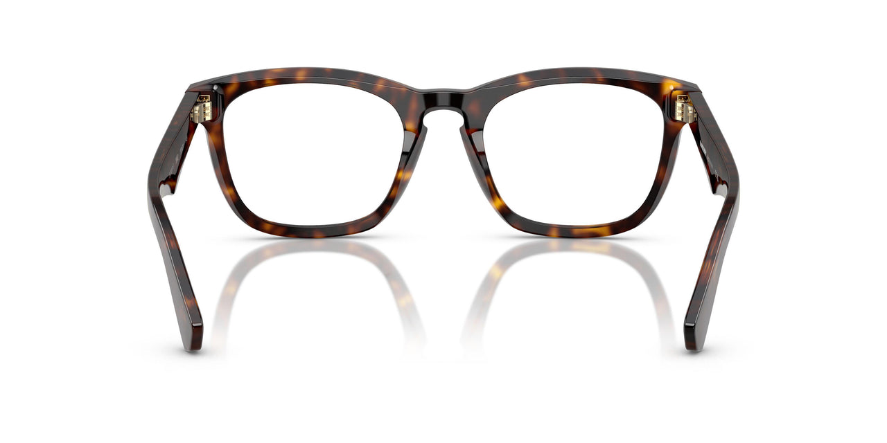 3002 - Brown