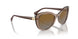2940T5 - Brown - Polarized Brown Gradient