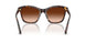 100274 - Tortoise - Gradient Brown