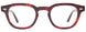 35 - Tortoise Red