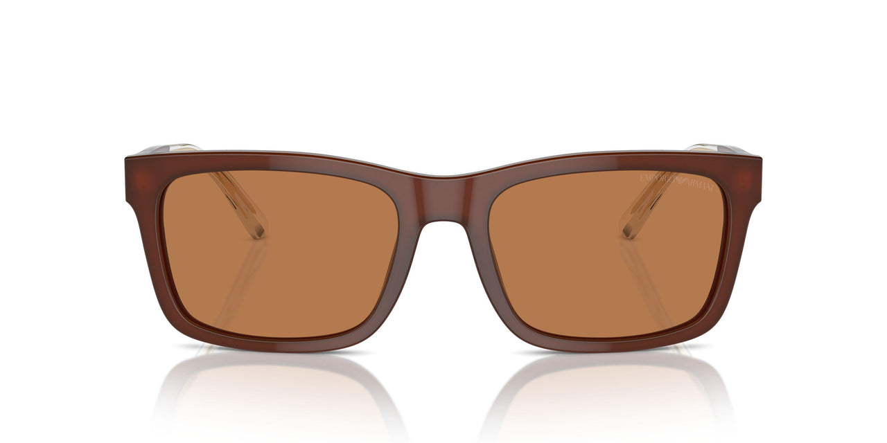609573 - Brown - Brown
