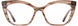 Cinzia CIN5174 Eyeglasses