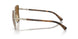 507883 - Havana - Polar Dark Brown