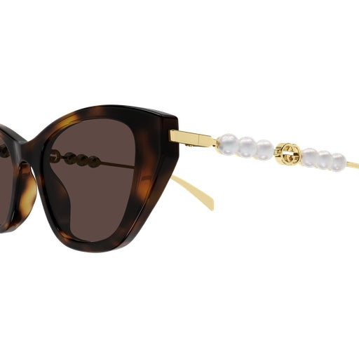 003 - Havana/Gold - Brown