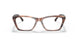 5903 - Tortoise