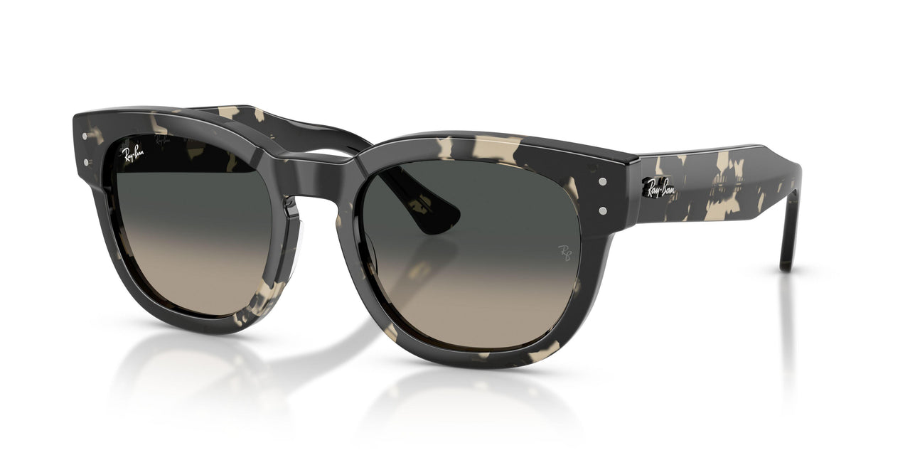 133371 - Tortoise - Grey Gradient