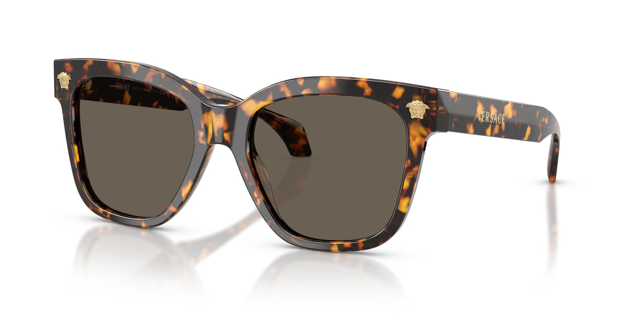 Versace 4511 Sunglasses
