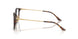 W656 - Brown