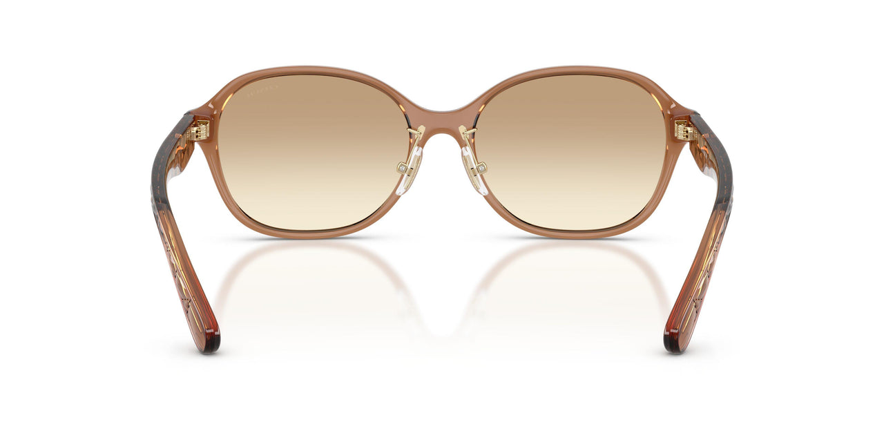 565413 - Brown - Clear Brown