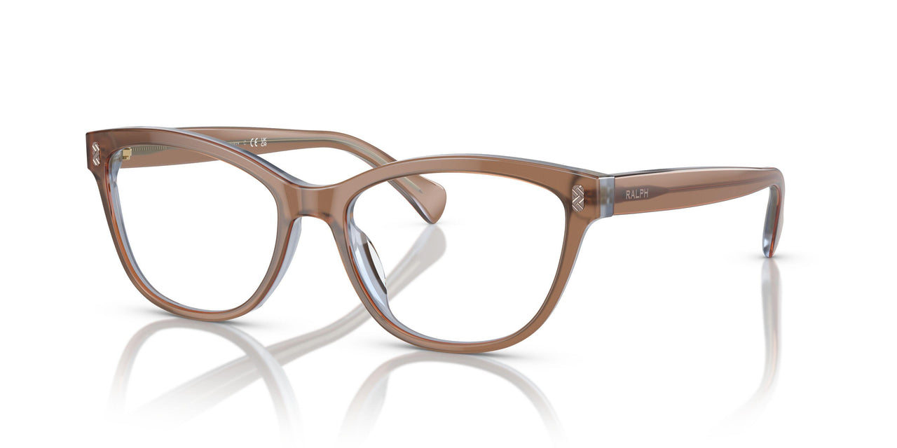 6067 - Brown