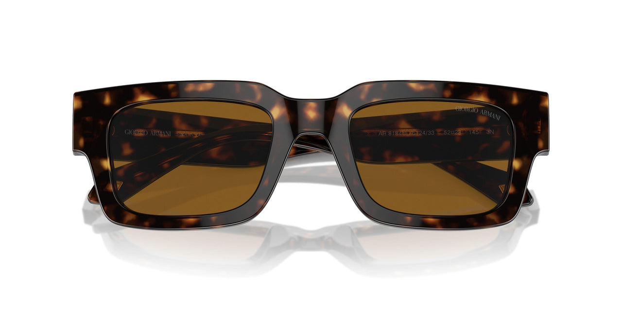 612433 - Tortoise - Brown