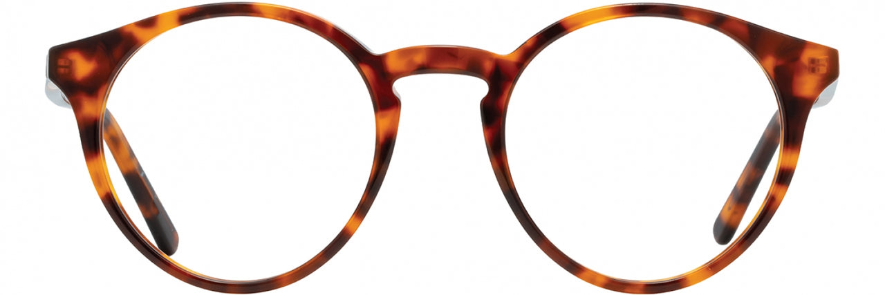 Adin Thomas ATS021 Eyeglasses