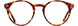 Adin Thomas ATS021 Eyeglasses