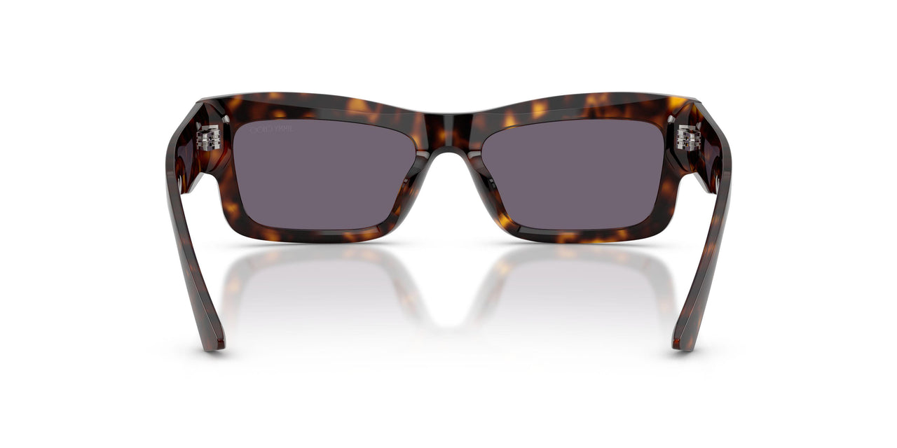 50021A - Tortoise - Violet