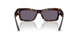50021A - Tortoise - Violet