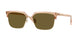 551883 - Brown - Dark Brown