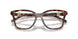 4031 - Tortoise