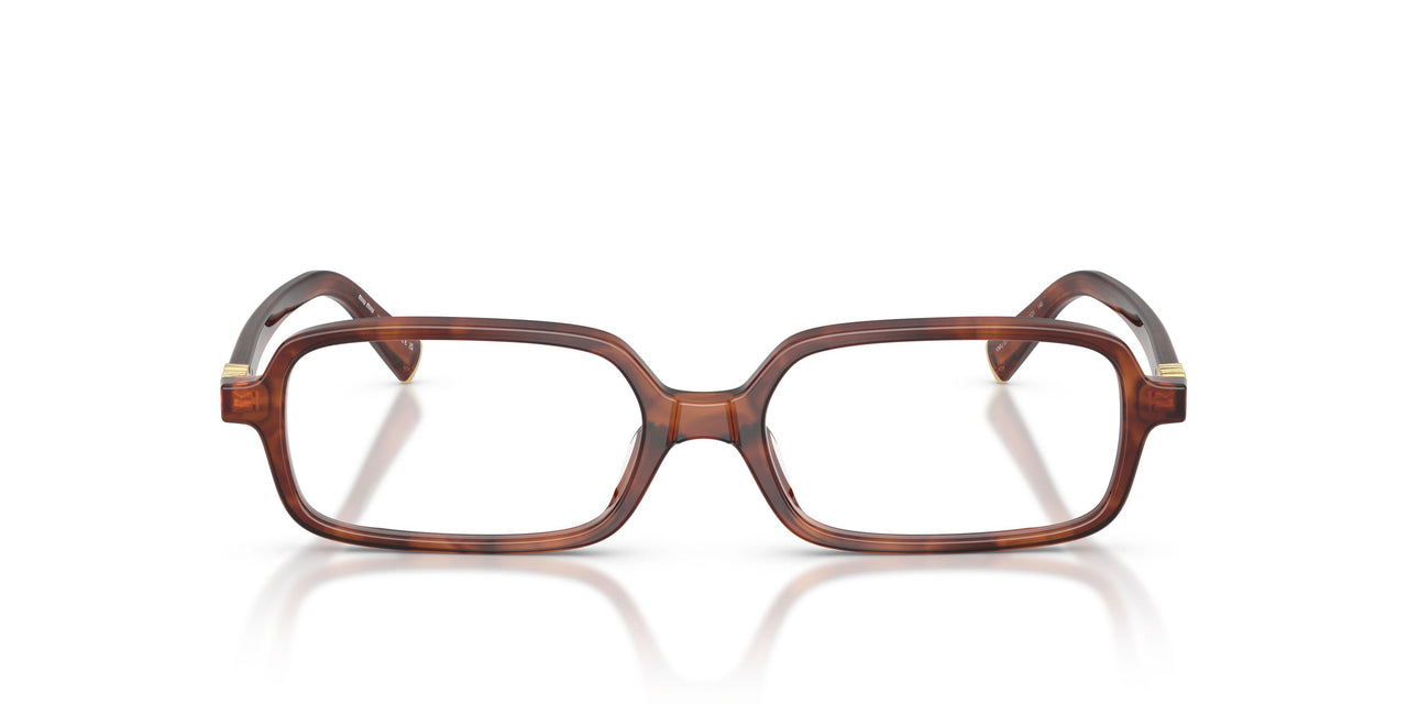 26E1O1 - Brown