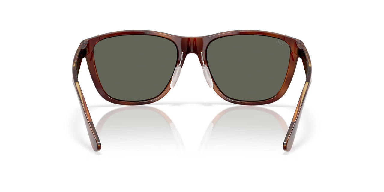912406 - Tortoise - Gray