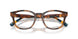 5003 - Tortoise
