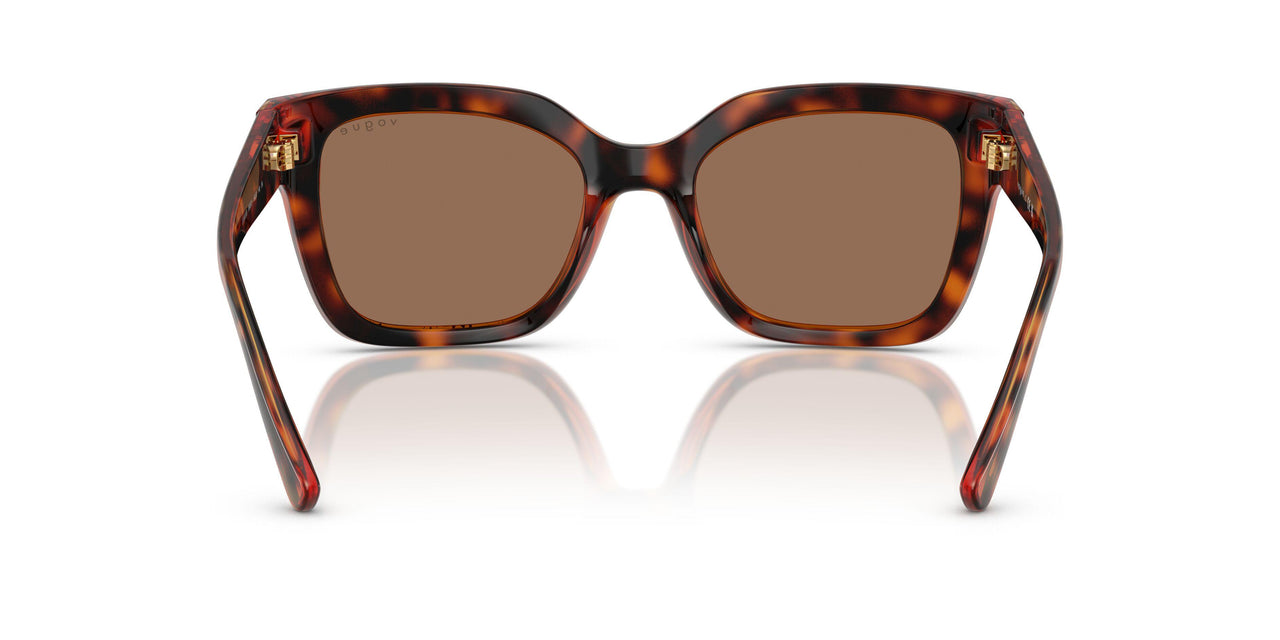 W65673 - Brown - Dark Brown
