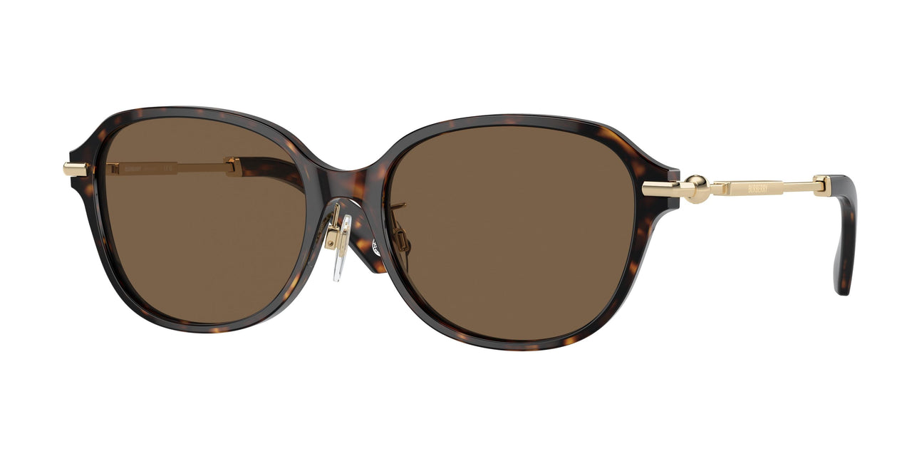 300273 - Brown - Dark Brown
