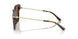 30063G - Tortoise - Dark Brown Solid