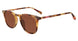 Diff MAXWELL Sunglasses