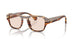 004 - Brown
