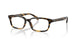 201002 - Tortoise