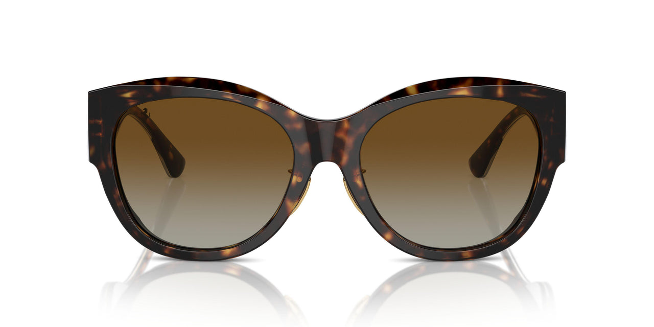 702/T5 - Tortoise - Brown Gradient Polar